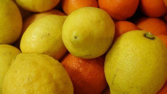 Atelier citrons confits