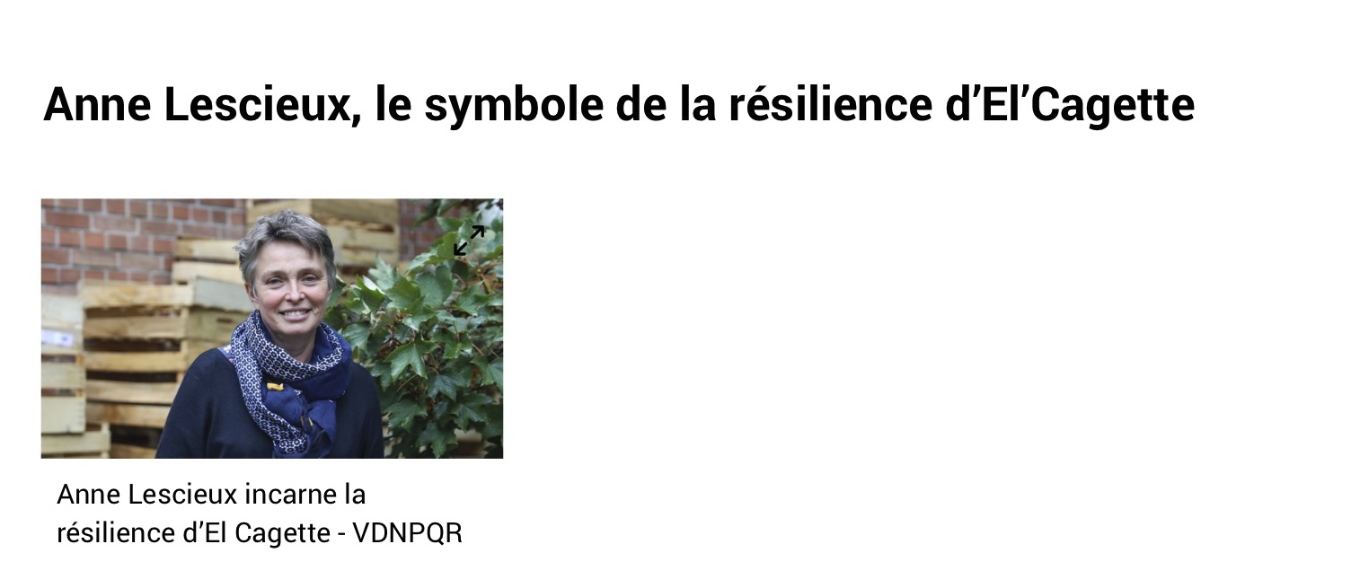 Lire la suite à propos de l’article Article dans la Voix du Nord de dimanche 7 janvier 2024